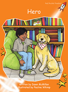 Cover Art for Hero