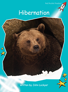Cover Art for Hibernation