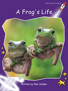 Cover Art for A Frog's Life