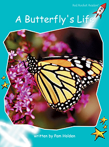 Cover Art for A Butterfly's Life