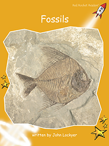 Cover Art for Fossils