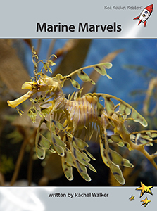 Cover Art for Marine Marvels