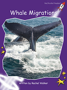 Cover Art for Whale Migrations