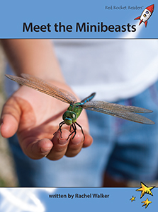Cover Art for Meet the Minibeasts